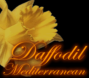 Daffodil Mediterranean Delivery Lincoln Ne